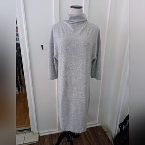 Downeast Dolman Mockneck Dress NWT